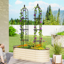 Set 2 Supporti per Piante Rampicanti Alti 170 cm in Acciaio Antiruggine Nero      