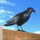 Corvo Dissuasore Statua Spauracchio Spaventa Passeri Piccioni 24,5 cm in Plastica Nero      