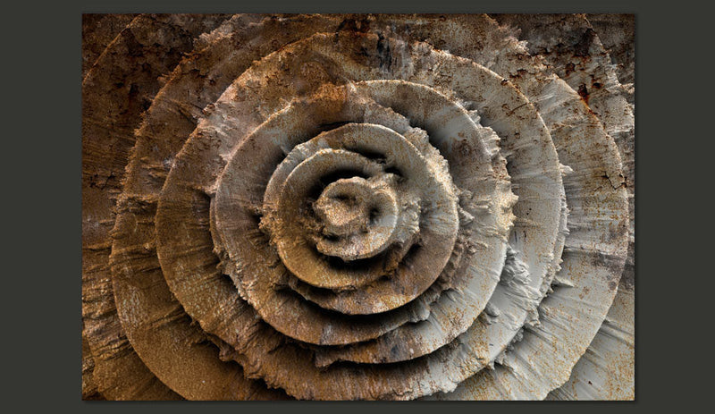 Fotomurale - Desert Rose Carta Da Parato Erroi