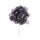 Set 12 Pfingstrosen Picks Ø14 cm Grau
