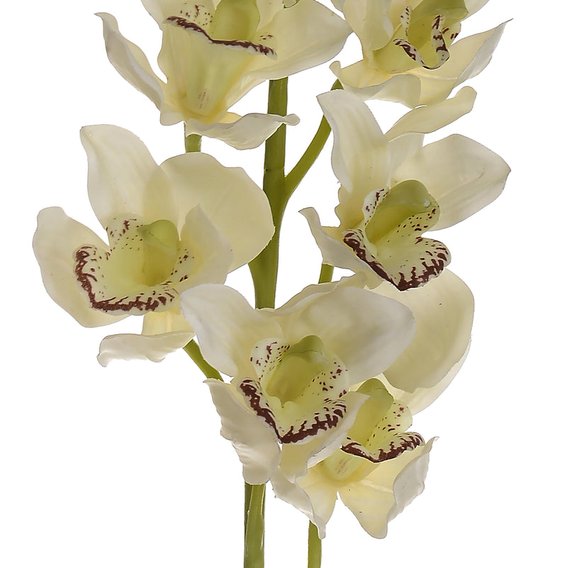 Set 2 Cymbidium Artificiale Real Touch con 10 Fiori e 2 Bocci Altezza 92 cm Bianco