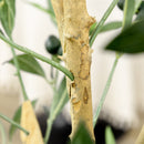 Pianta Artificiale Ulivo H180 cm con Vaso Verde