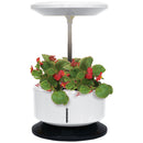 Macchina per Coltivazione di Piante Erbe Fiori con Lampada LED Garden Machine Bianco