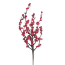 Set 24 Rami Ilex con Bacche Rosse H42 cm Rosso