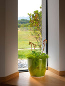 Vaso da Interno e Esterno Ø18x16 cm in Plastica Madeira 18 Trasparente