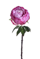 Set 6 Rami Artificiali Peonia H 48 cm