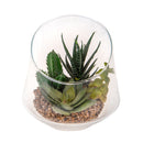 Sfera con Piante Grasse Artificiali 