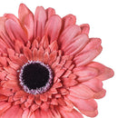 Set 12 Fiori Artificiali di Gerbera Altezza 63 cm 