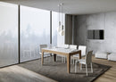 Tavolo Allungabile 160-220x90x77 cm Cico Mix Bianco Frassino