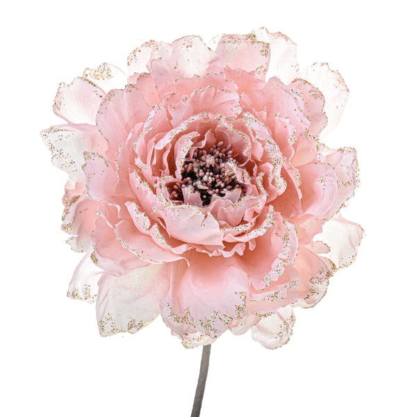 acquista Set mit 12 Pfingstrosen-Picks Ø14 cm Rosa