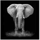 Pannello Radiante Elettrico Quadro Termico 60x60cm 450W Vannini Elefante