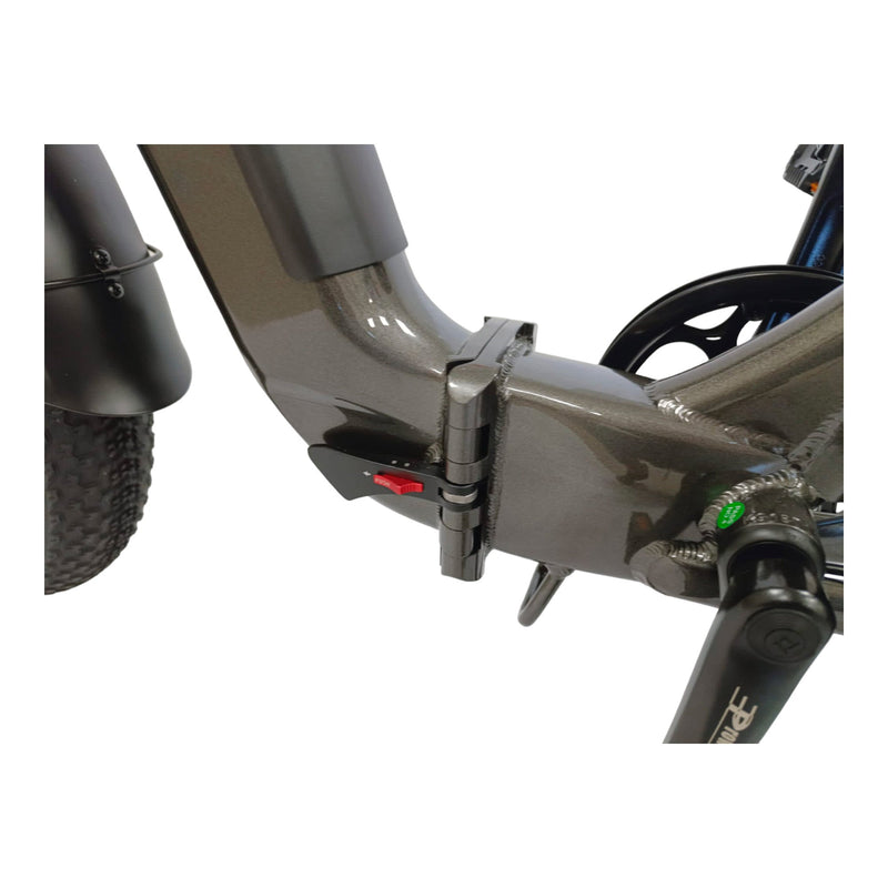 Fat-Bike Bicicletta Elettrica Pieghevole 36V a Pedalata Assistita 20"" 250W Grigio Antracite