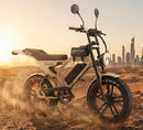 Fat Bike Elettrica Ape Ryder Mandril Ultra 250W 48V Bici Elettrica Pedalata Assistita Autonomia 50 km Beige  