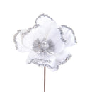 Set 12 Pick Catleia H15 cm Bianco