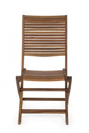 Set 2 Sedie da Giardino 50,5x64x93h cm Noemi Pieghevole 