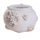 Vaso Conchiglie e Coralli Ø 56x39 cm