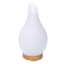Diffusore in vetro con spina cm Ø13,2xh24,8