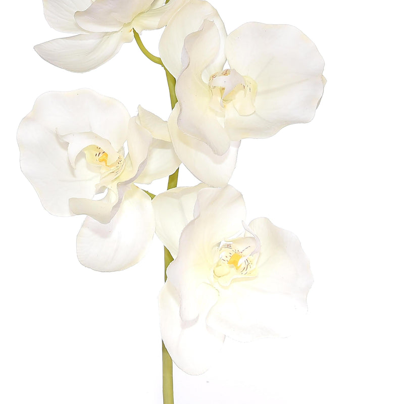 Set 2 Phalaenopsis Artificiale con 10 Fiori Altezza 109 cm 