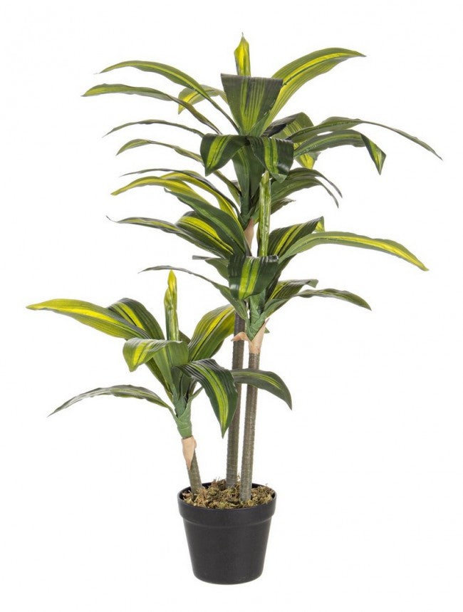 Set 2 Piante Artificiali Dracaena 88 h in Plastica con Vasi Verde