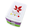 Mini Cassettiera 2 Piani 9x13x8 cm Multicolor in plastica rigida