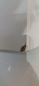 Mobile Lavatoio in ABS 70x40x90 cm 2 Ante Ambrosini Doris Bianco Opaco Seconda Scelta