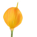 Set 12 Calla Artificiale Singola Altezza 72 cm Giallo