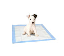 Set 10+1 traverse assorbenti 60x60 cm Adesive per cani e gatti cattura odori
