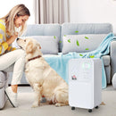 Deumidificatore d'Aria 16 Litri 270W  4 Modalità e 2 Velocità Bianco