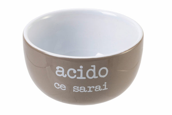 Joghurtschale aus Porzellan 250 ml Villa d'Este Home Tivoli Spqr acquista