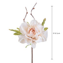 Set 24 Rami in Legno Rose Ø 8 cm