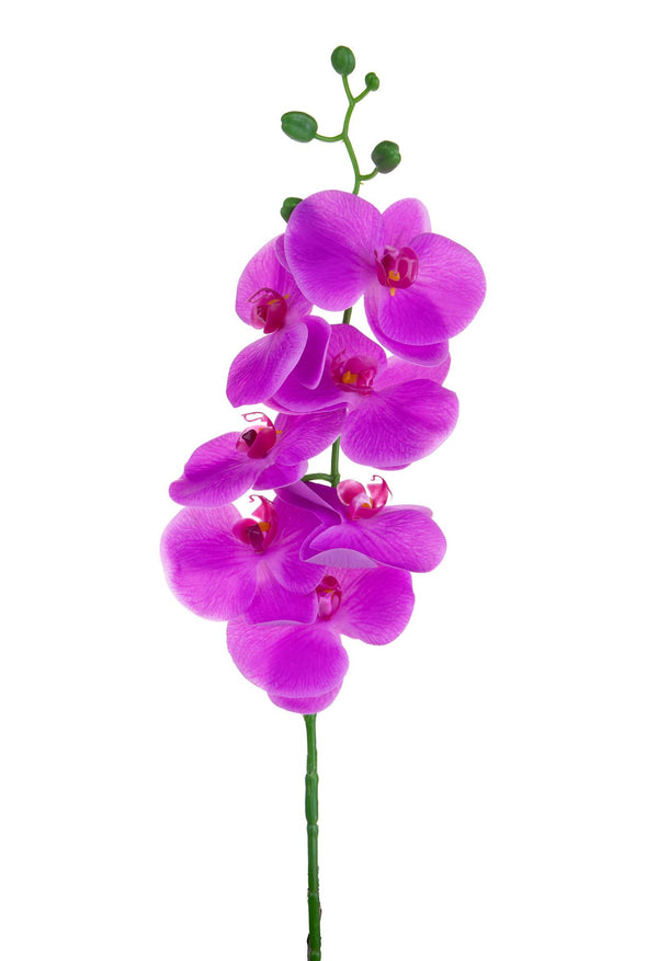 Set 6 Künstliche Phalaenopsis mit 7 Blumen Höhe 96 cm Lila sconto