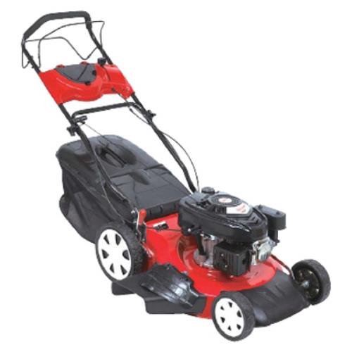 Selbstfahrender Benzin-Rasenmäher mit Mulchfunktion zum Grasschneiden Dy 21-200 S  prezzo