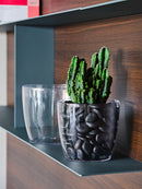 Vaso da Interno e Esterno Ø13,5x12,5 cm in Plastica Madeira 14 Trasparente