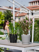 Vaso da Interno e Esterno Ø24x22cm in Polipropilene Orione 24 Fog Grey Grigio Chiaro