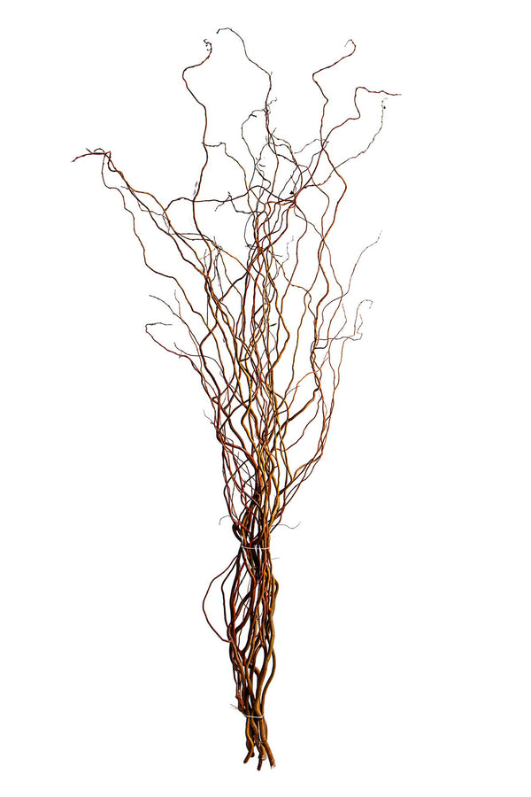 online Set 20 Rami Naturali Salix 200 cm Nocciolo