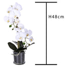 Pianta Artificiale di Phalaenopsis Artificiali con Vaso Altezza 48 cm Bianco