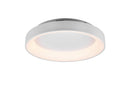 Plafoniera da Interno a Led in Metallo Bianco Opaco
