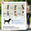 Passeggino per Cani Piccoli Pieghevole con Guinzaglio e Cestino Nero 