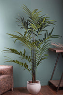 Pianta Artificiale Kenzia con Vaso H 210 cm