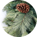 Albero di Natale Artificiale Pigna del Gargano Verde con Pigne Varie Misure