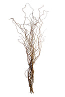 Set 20 Rami Naturali Salix 200 cm Nocciolo