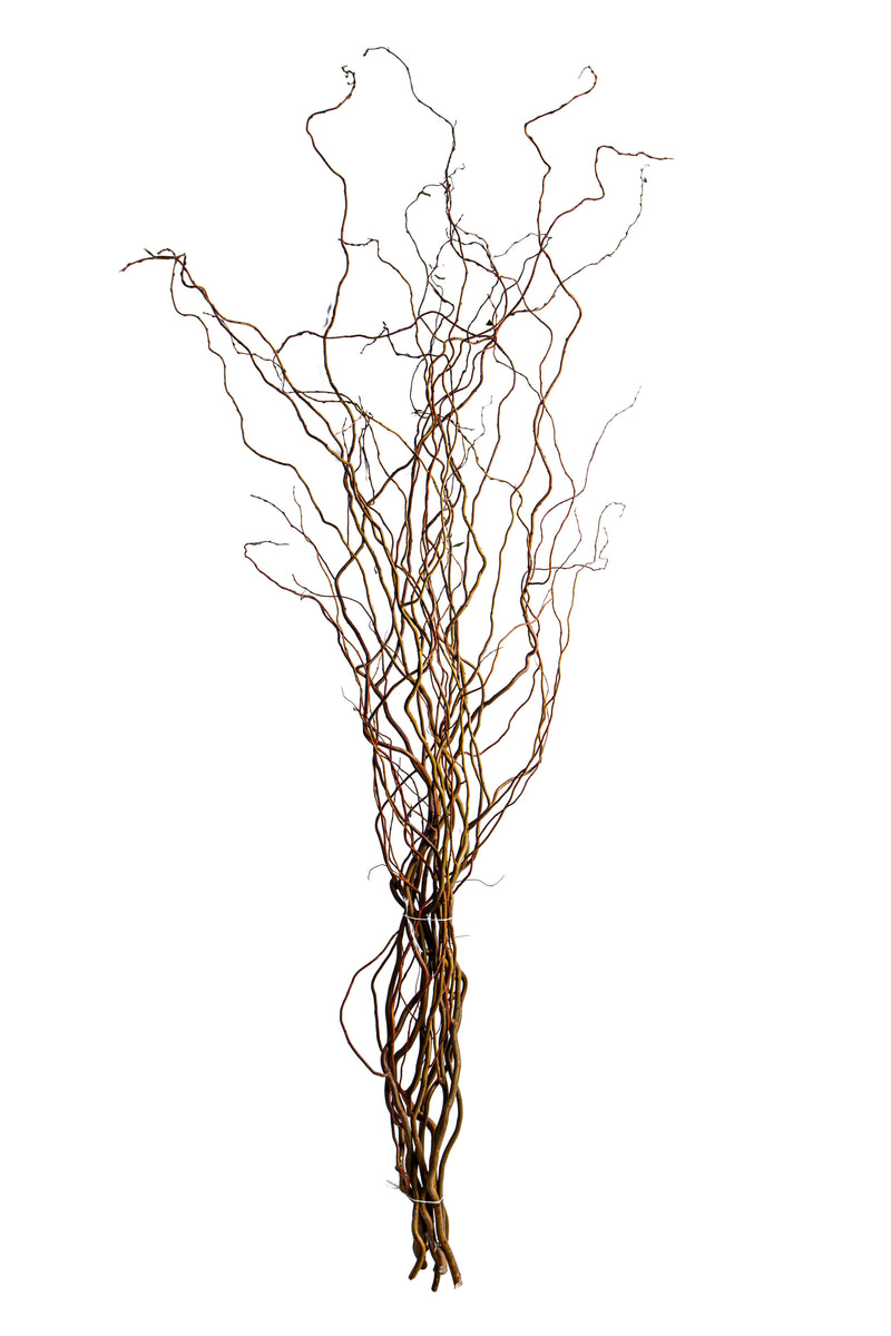 Set 20 Rami Naturali Salix 200 cm Nocciolo