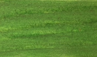 sconto Imprägnierer für Outdoor-Holz 4 Liter Grün