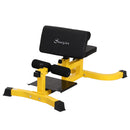 Panca Fitness Multifuzionale Scott Sissy Squat Abs Trainer Regolabile in Acciaio 