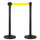 2 Gardinenstangen 3 Meter aus mattschwarzem Metall Ø36x101 cm Gelbes Band