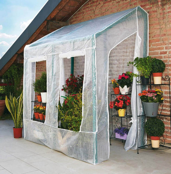 prezzo PVC-Wandgarten-Gewächshaus mit grünem Lobelia-Rama-Tuch