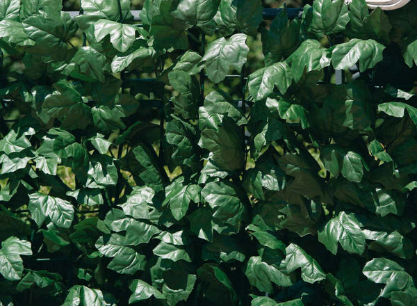 Arella künstliche synthetische Hecke in schattierenden Polypropylenzweigen mit Efeublättern in verschiedenen Größen sconto