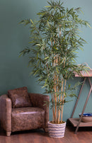 Bamboo Royal Artificiale a 7 Diramazioni con Vaso Altezza 210 cm Verde