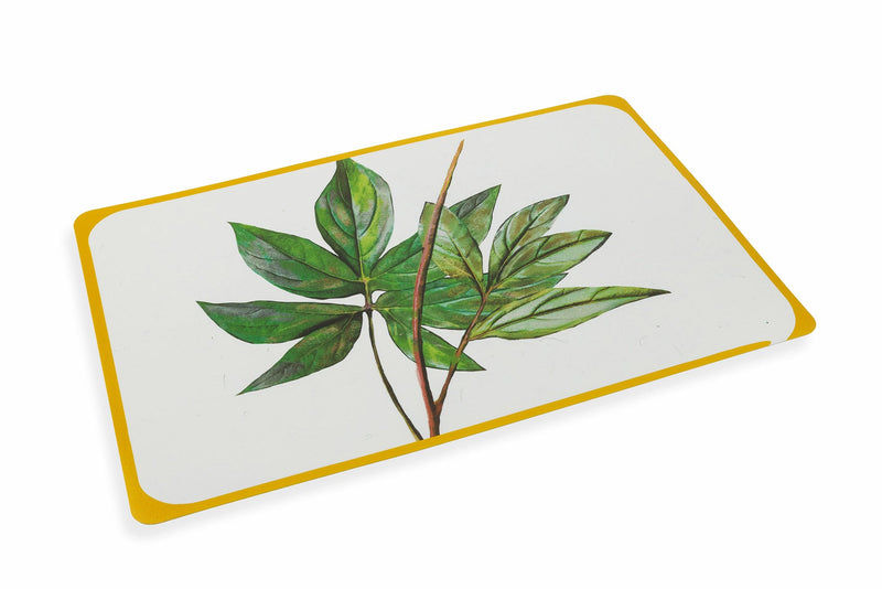 Set 6 Tovagliette 45x30 cm in Plastica Villa d'Este Home Tivoli Oriental Botanique