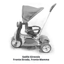 Triciclo a Spinta per Bambini Seggiolino Reversibile Hornet Rosso
